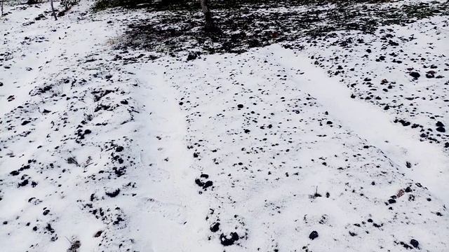 Не Успела укрыть на Зиму  🧄ЧЕСНОК и 🧅ЛУК😒.     Подожд?
