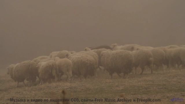 Пусть мир заиграет новыми красками! - Starbound -- Kirk Osamayo -- Season Two (BLUE)