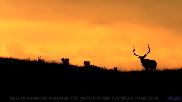 Танцуйте медленно - пусть эта песня ведёт вас! - There He is Bridge -- New Millennium String Band --