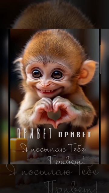 Доброе утро #доброеутро #благодарность