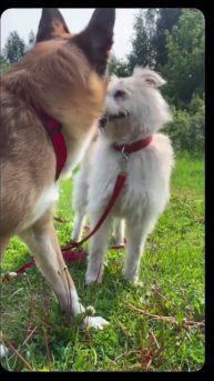 Поздравляем вас с Днём России