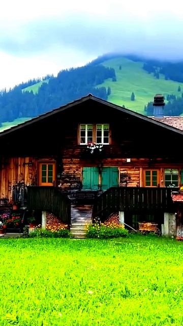 Камера сняла, как это произошло