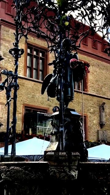 Моменты, запечатленные на камеру