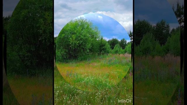 День России. природа Мещеры