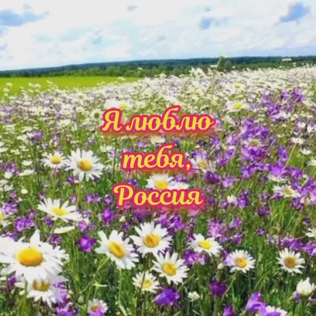 Я люблю тебя,Россия!
#россия#деньроссии#великаяроссия#гордость#нашастрана