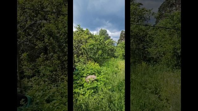дом Лужский 33