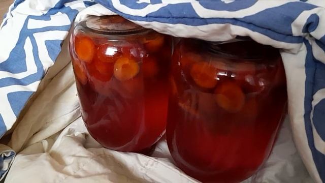 слива и мой компот