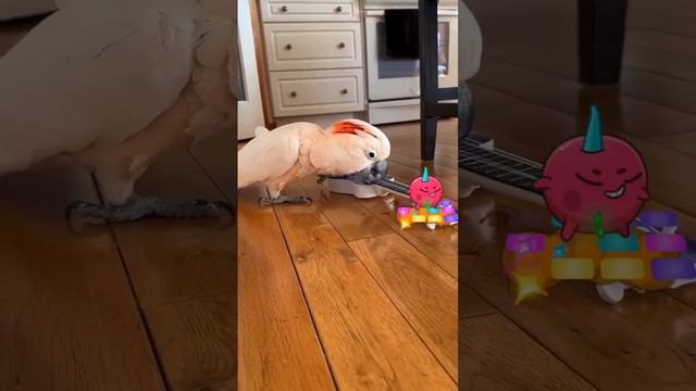 Научусь играть на гитаре...)