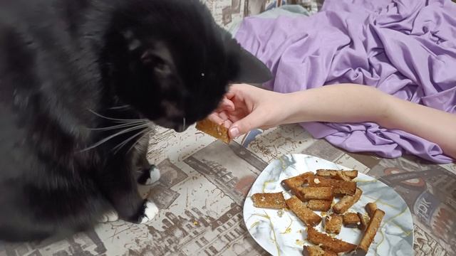 Кошка ест гренки с чесноком)