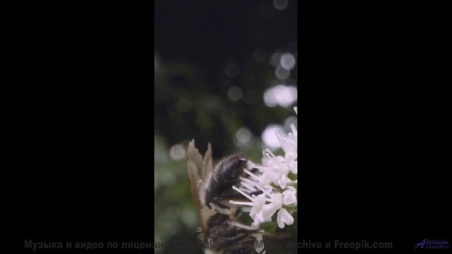 Закат, открытая дорога и трек, который вы будете помнить вечно - Step to Space -- Rolemusic -- Unnam