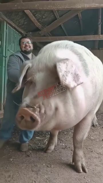 Пополнение в рядах жертв пропаганды
