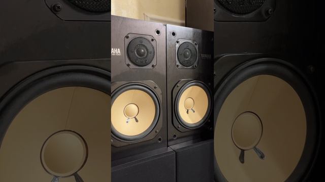 YAMAHA NS-10M (ЛОТ #2)