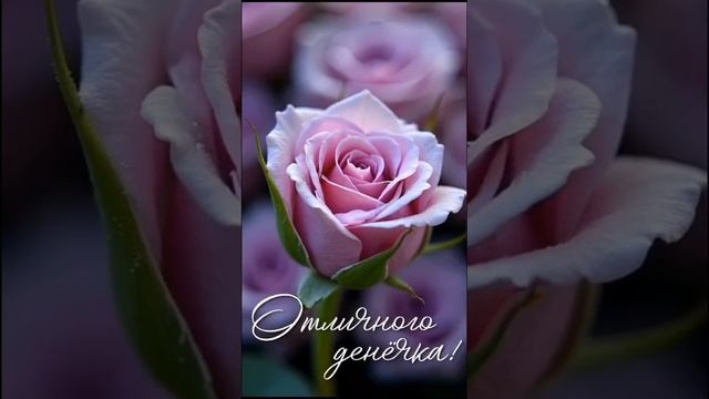 1000017421.mp4