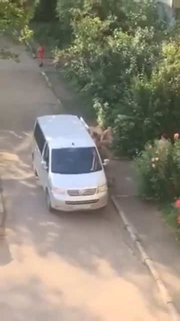 ТЦК начали вытаскивать ухилянтов из квартир