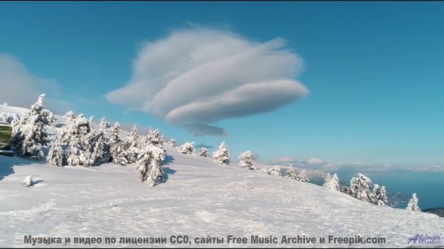 Это видео - как глоток свежего лесного воздуха! - En passant -- Phillip Gross -- Non-Music