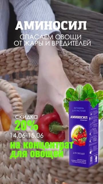 🌟 Мы рады объявить о начале новой акции на наш концентрат для овощей АМИНОСИЛ в упаковке 500 мл.