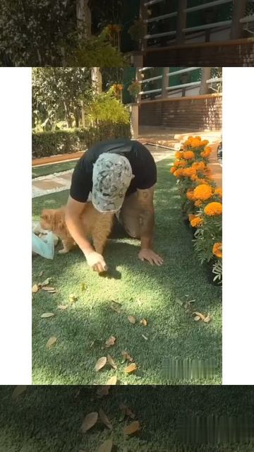 Котик решил помочь в уборке и вот что из этого получилось 🐈🤩👍❤️