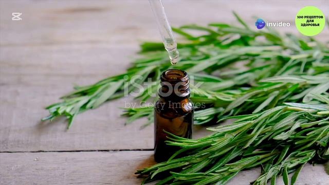 ПЕЙТЕ ЭТОТ ЧУДЕСНЫЙ ЧАЙ ИЗ РОЗМАРИНА, И БУДЕТЕ МОЛОДЫ ?