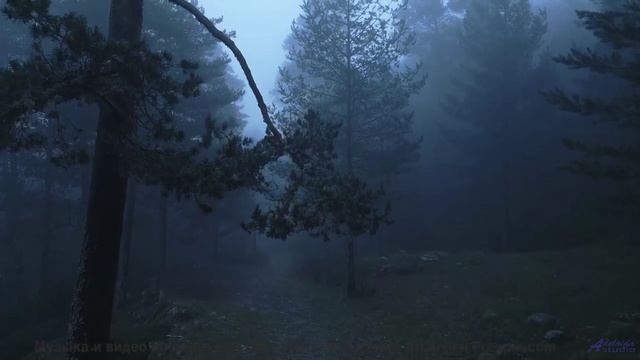 Музыка заставляет душу летать при каждом кадре - Elements Of Bliss -- Blue Sky Moon -- Prophet and L