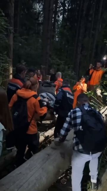 ‼️Бабушка с двумя внучками заблудилась в подмосковном лесу под Чеховом во время утренней прогулки‼️
