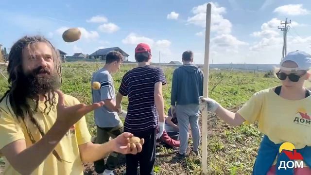 Сбор картошки на проекте "Деревня"