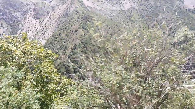 Кашкадарё вилоятидаги тоглари буйлаб саёхат.