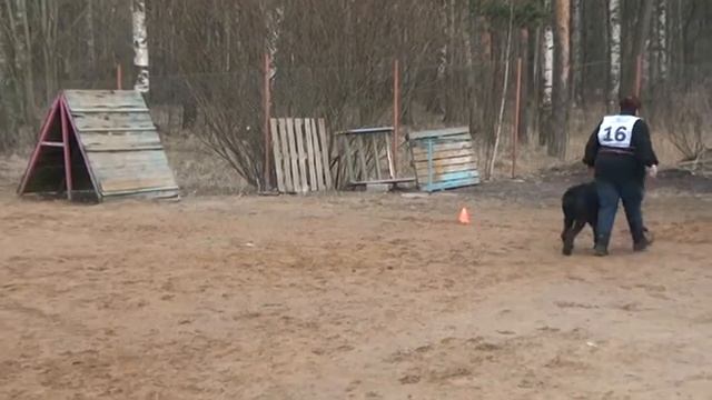 КО Альме- 25 лет. Защитка. "Послушание".Пара № 16