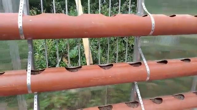 ЧТО ЛУЧШЕ ВЫРАЩИВАТЬ В ТЕПЛИЦЕ НА УРАЛЕ КЛУБНИЧНЫЙ БИЗНЕС С НУЛЯ!
