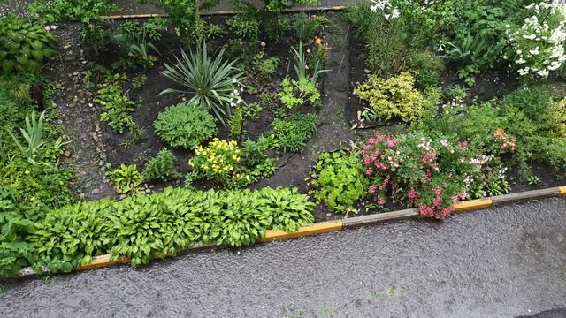 Дождь в Ставрополе (12.06.2025). 🌧️☔️💧