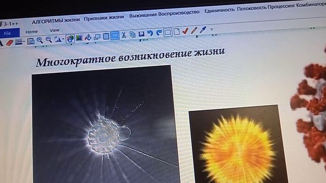 3-1++  Алгоритмическое    определение единиц жизни  Протисты солнечники не имеют предков
