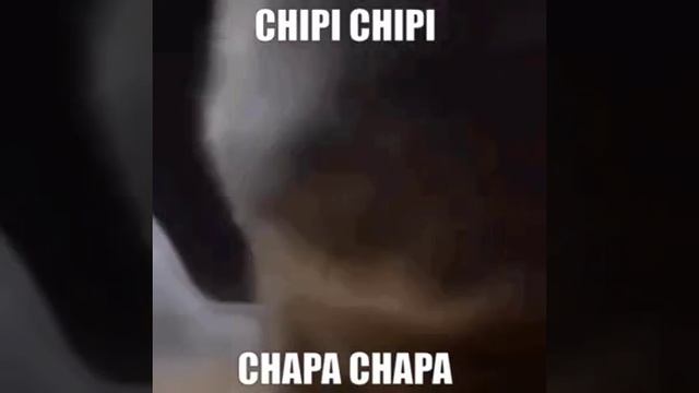 1000001538.mp4