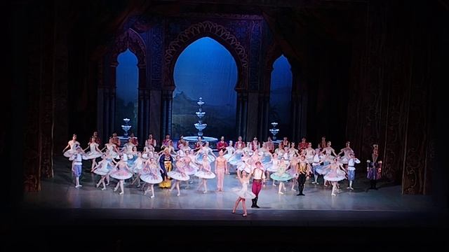 Балет "Корсар" Большой театр Беларуси 6 ноября 2024