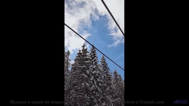 Кадры и ритм превращают реальность в сон наяву - Angelita (Instrumental) ft. Ryan Herr -- The Polish