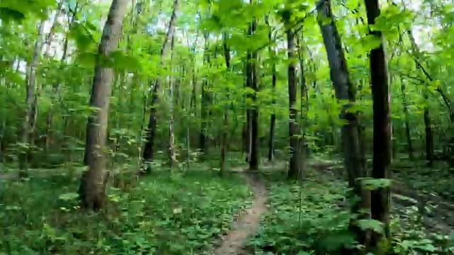 Город в движении: шаг за шагом