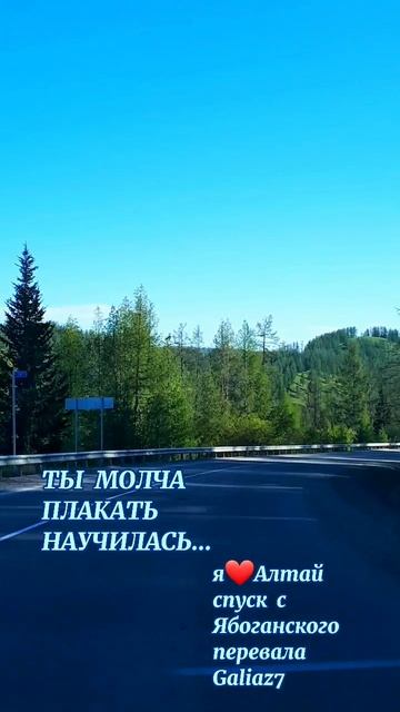 Алтай Спуск с Ябоганского перевала