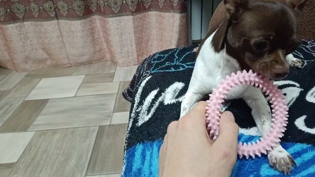 Я увидела эту машинку и поняла, что она моя