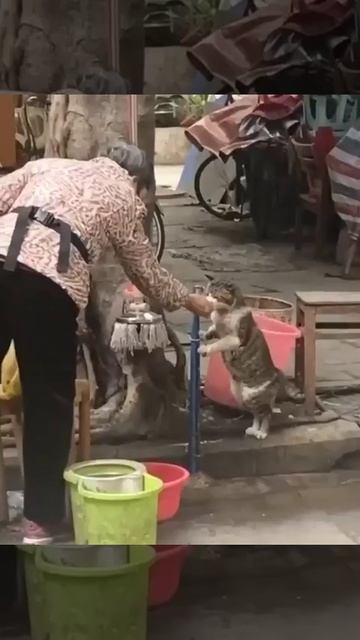 Котик захотел попить 🐈🥰💦