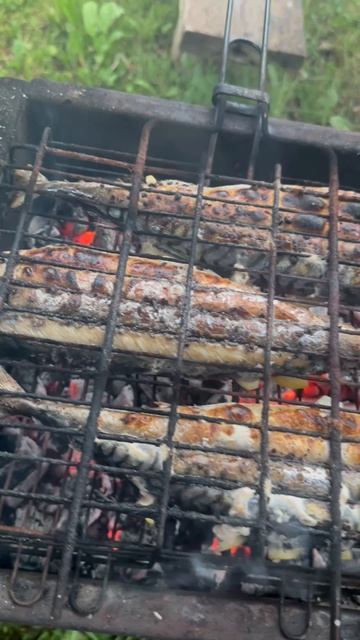 Скумбрия с лимоном на костре 🐟 🔥