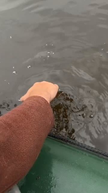 День шнурка #рыбалка #fishing #рыбалканаспиннинг #щука #спиннинг