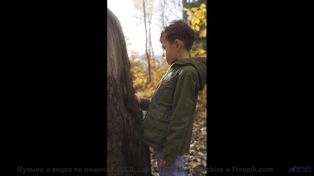 Этот звук под эти пейзажи разорвёт ваше сердце - Best that you can be -- Expendable Friend -- The Ti