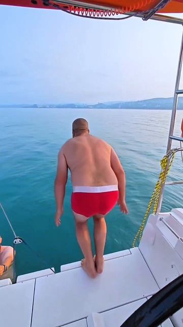 Самоед главное