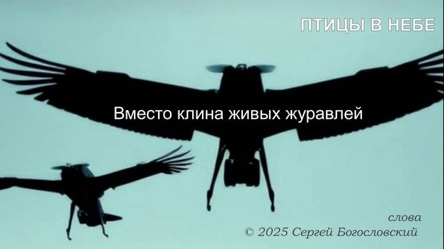 Птицы в небе