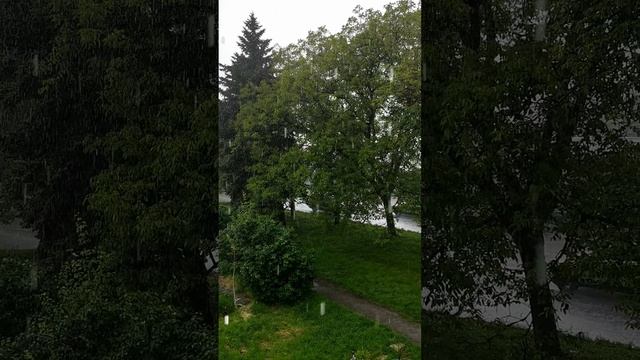 VID_20250518_160626.mp4