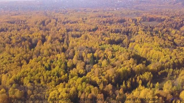 Включите и почувствуйте, как вас накрывает волна эмоций! - Lets Skip To The Good Bit -- Duncan Reid