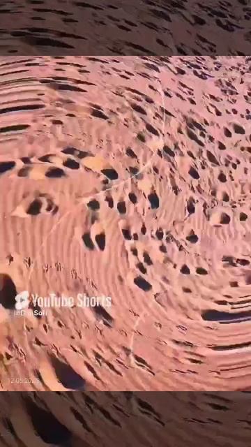 VID_20250612172036