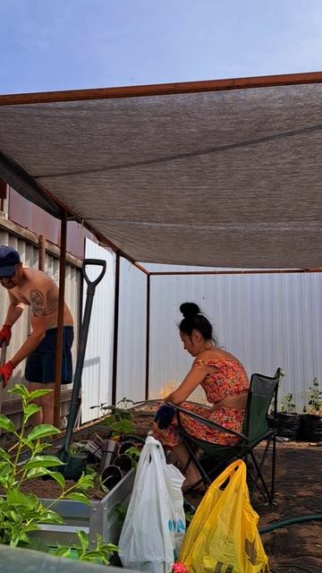 Посадила огурцы!!!🥒🥒🥒