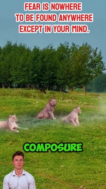 p7VnQi3tfBo - There is no fear anywhere except in your mind #shorts #animals #viral #lion #wildlife