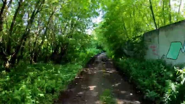 Городские скорости: таймлапс-путешествие