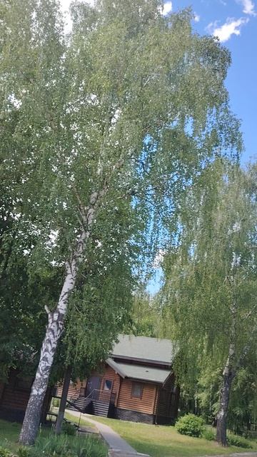 12-06-2025
