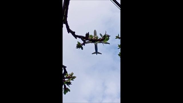 самолет.